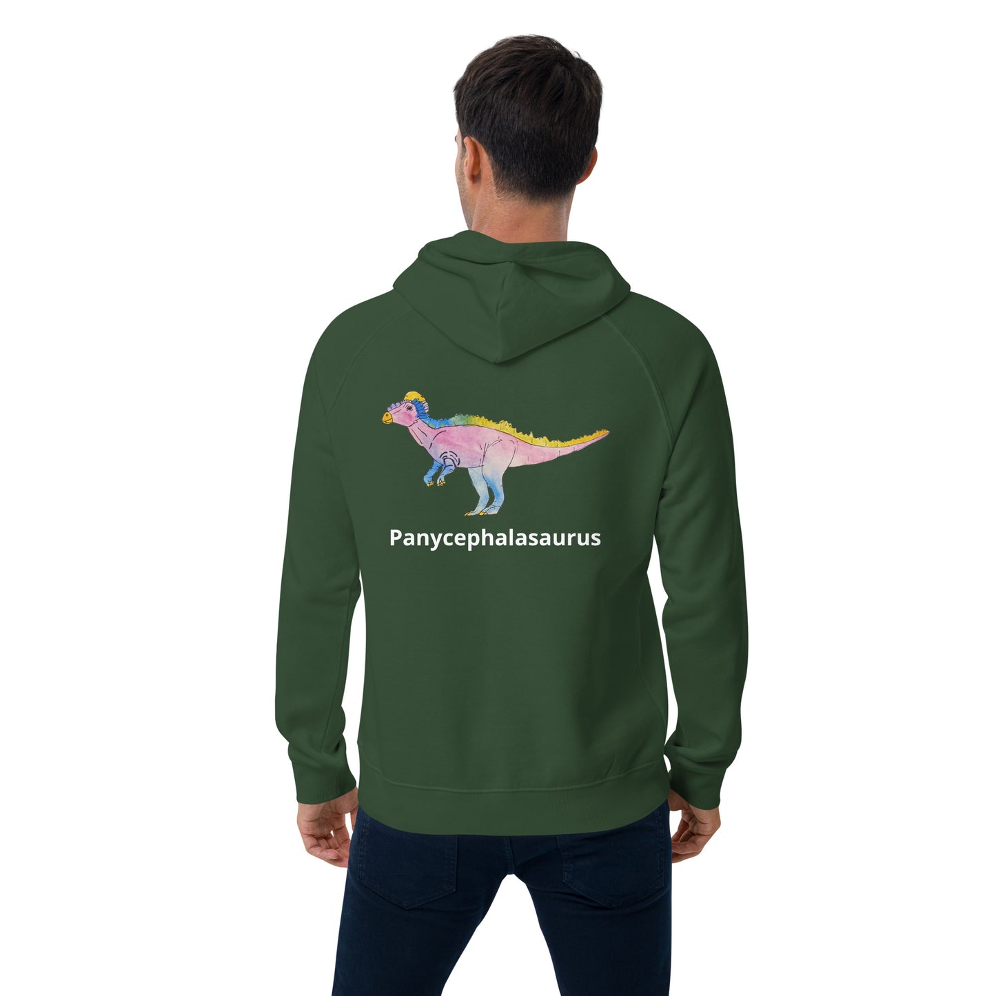 Panycephalasaurus Unisex eco raglan hoodie