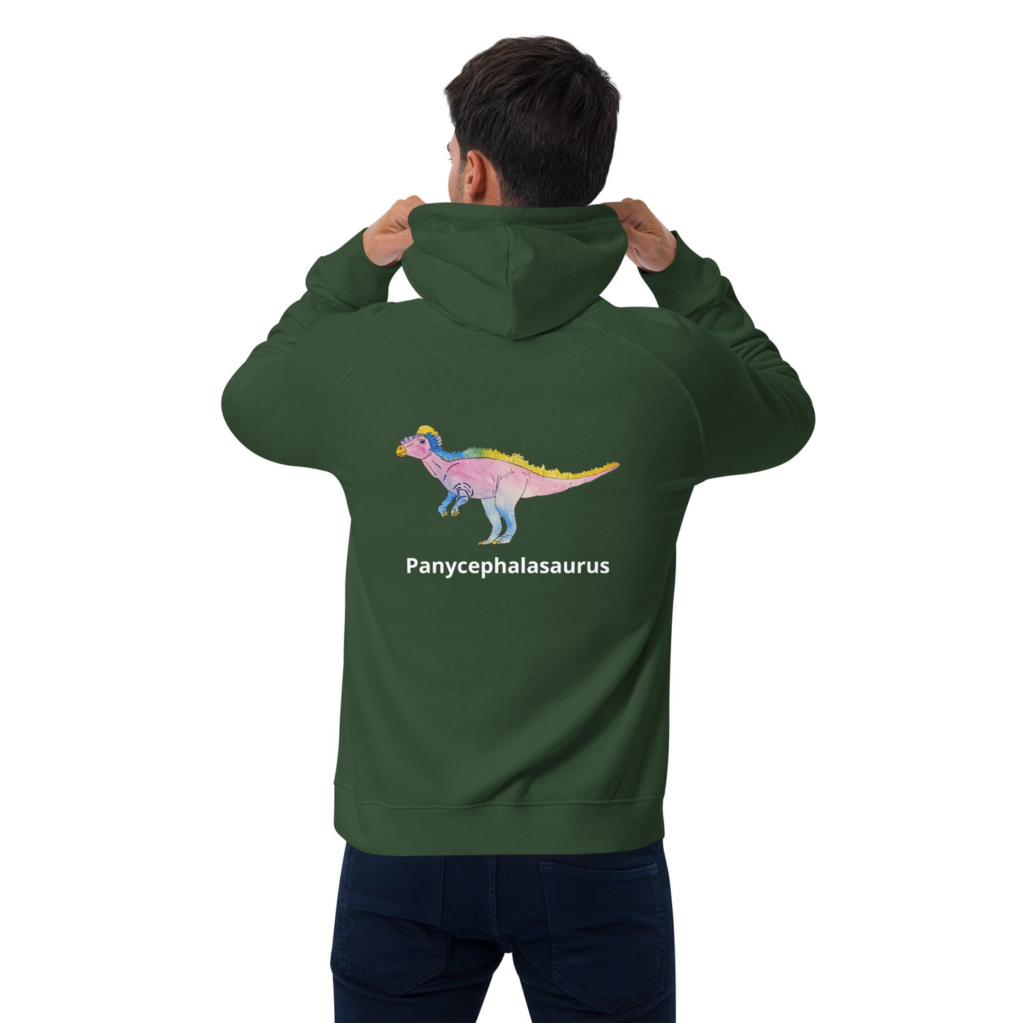 Panycephalasaurus Unisex eco raglan hoodie