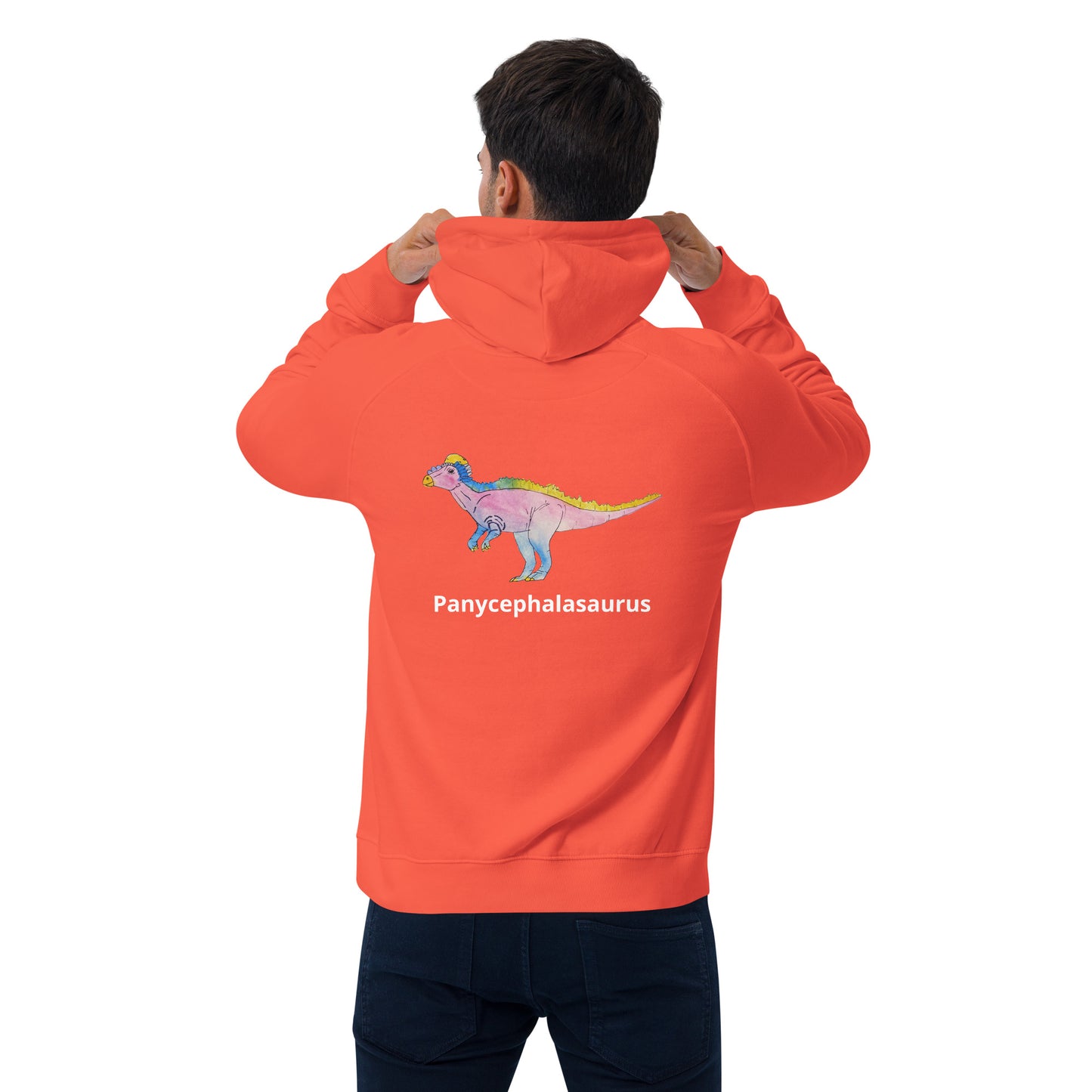 Panycephalasaurus Unisex eco raglan hoodie