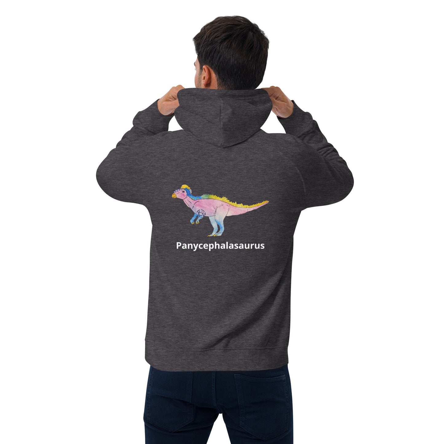 Panycephalasaurus Unisex eco raglan hoodie