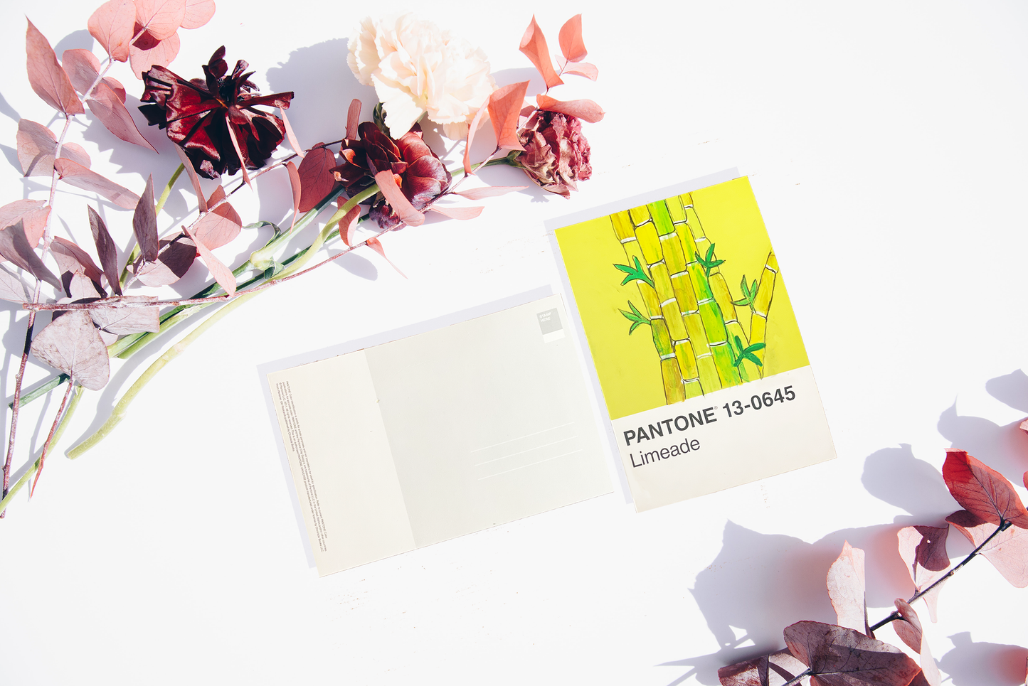 Love Color Postcards