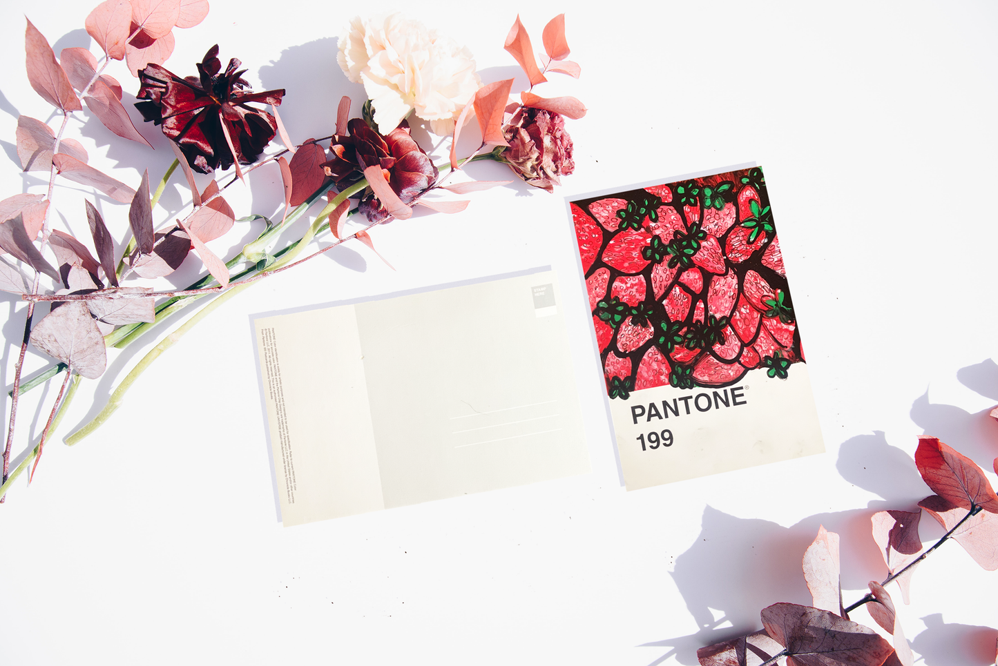 Love Color Postcards