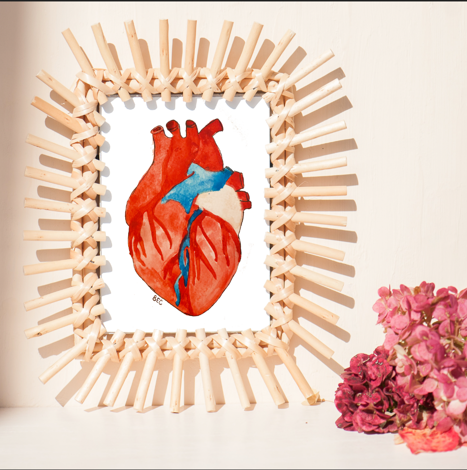 Anatomical Heart Print
