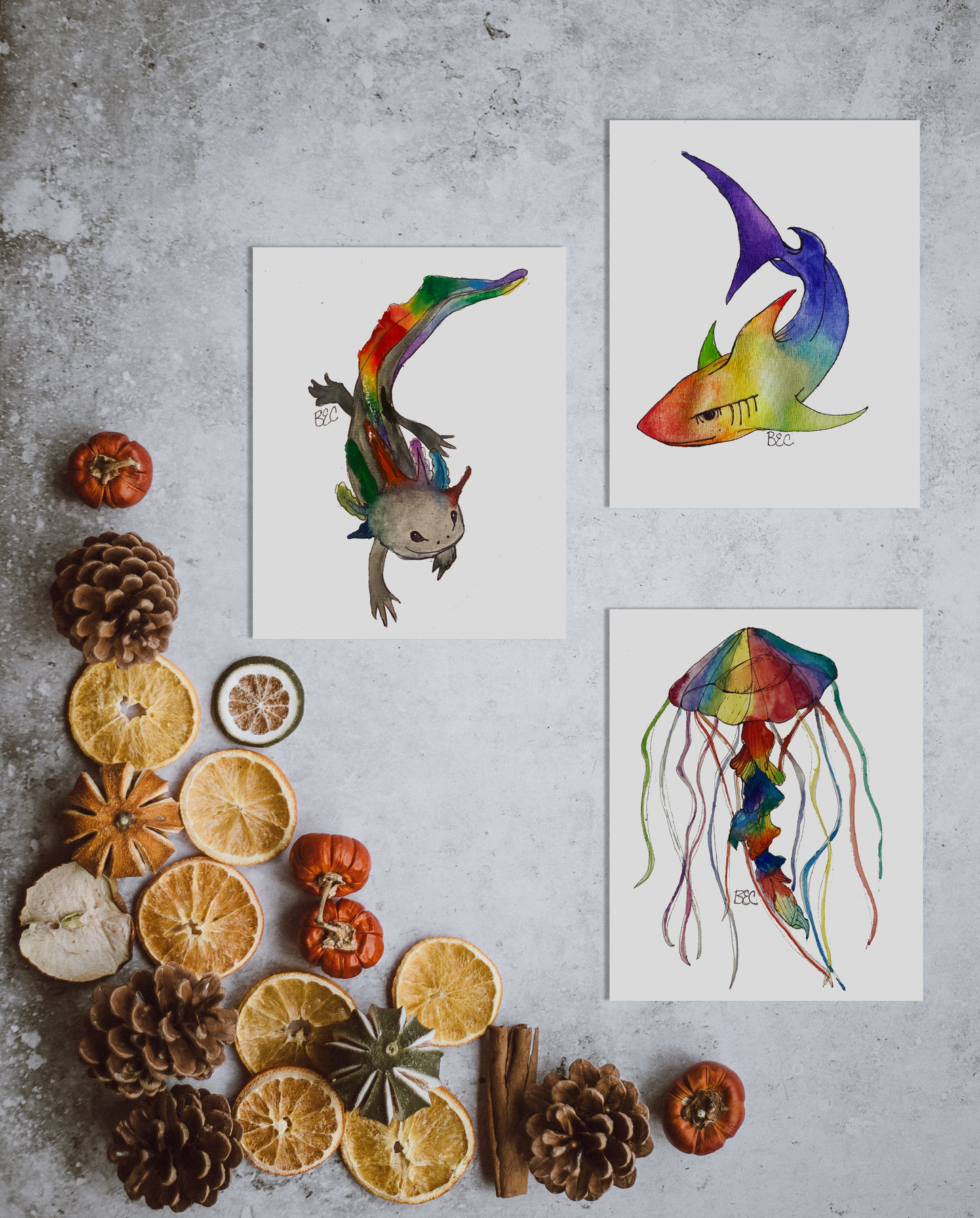 Rainbow Jellyfish Print