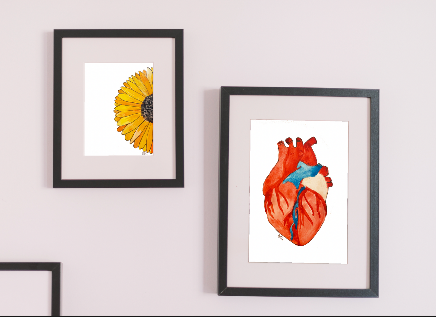 Anatomical Heart Print
